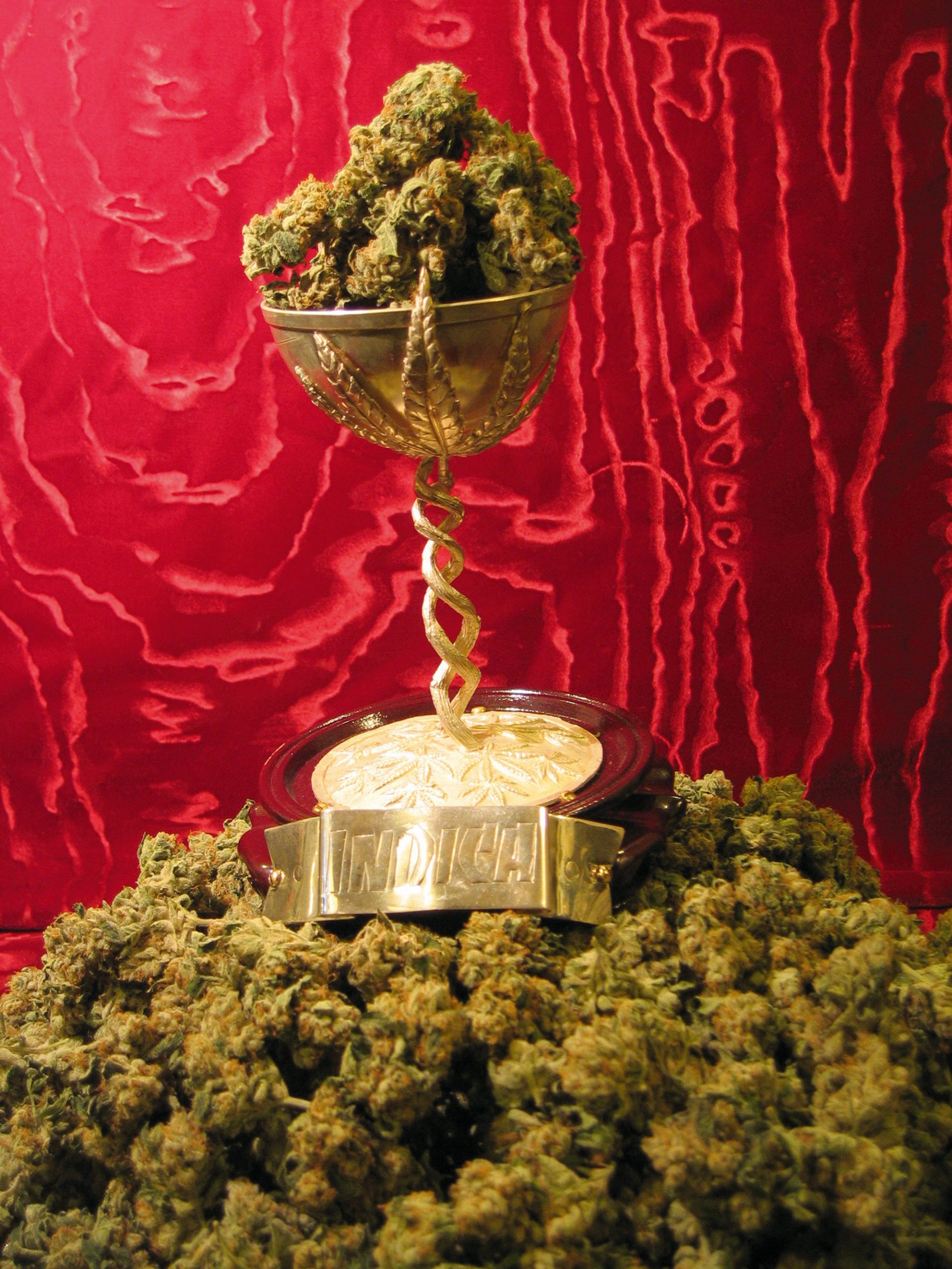 Cannabis-Cup-2013-001