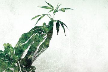 Der-Cannabis-Irrsinn-(01)