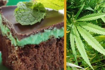 Die Vorteile des Essens von Cannabis