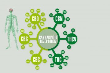 Cannabinoid-System-(01)