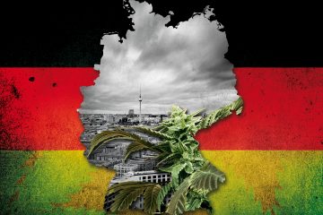 Cannabis in Deutschland - Warum der Schwarzmarkt für uns alle gefährlich ist