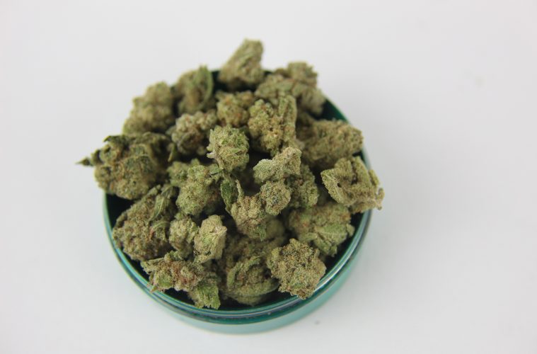 10_Lasst-und-einfach-leben_01