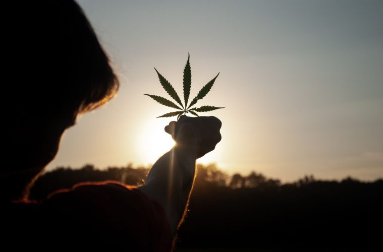 Cannabis im Alltag header
