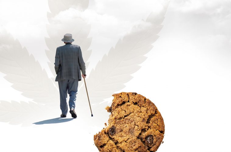 Mein-Vater-und-die-Haschkekse-01