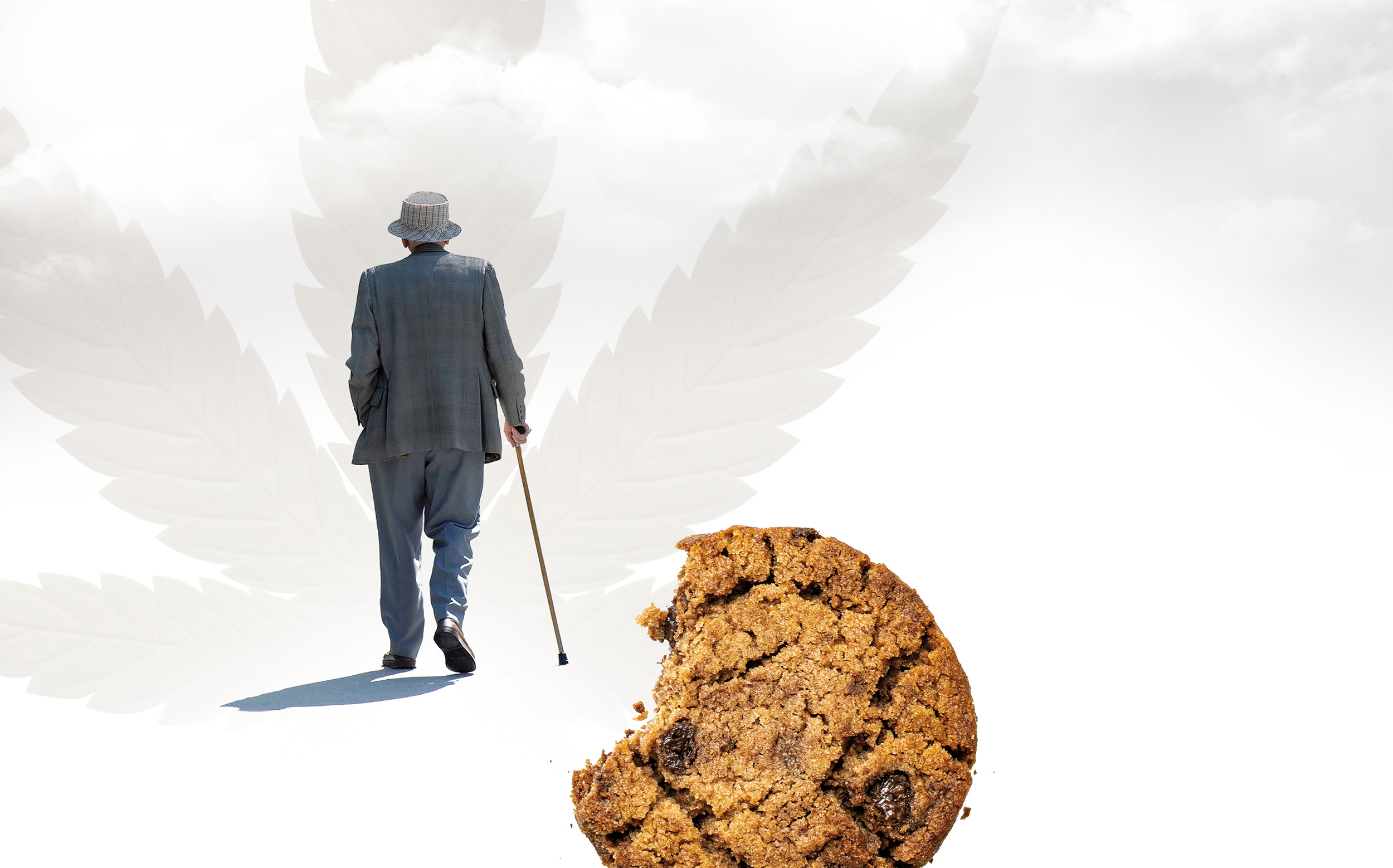 Mein-Vater-und-die-Haschkekse-01