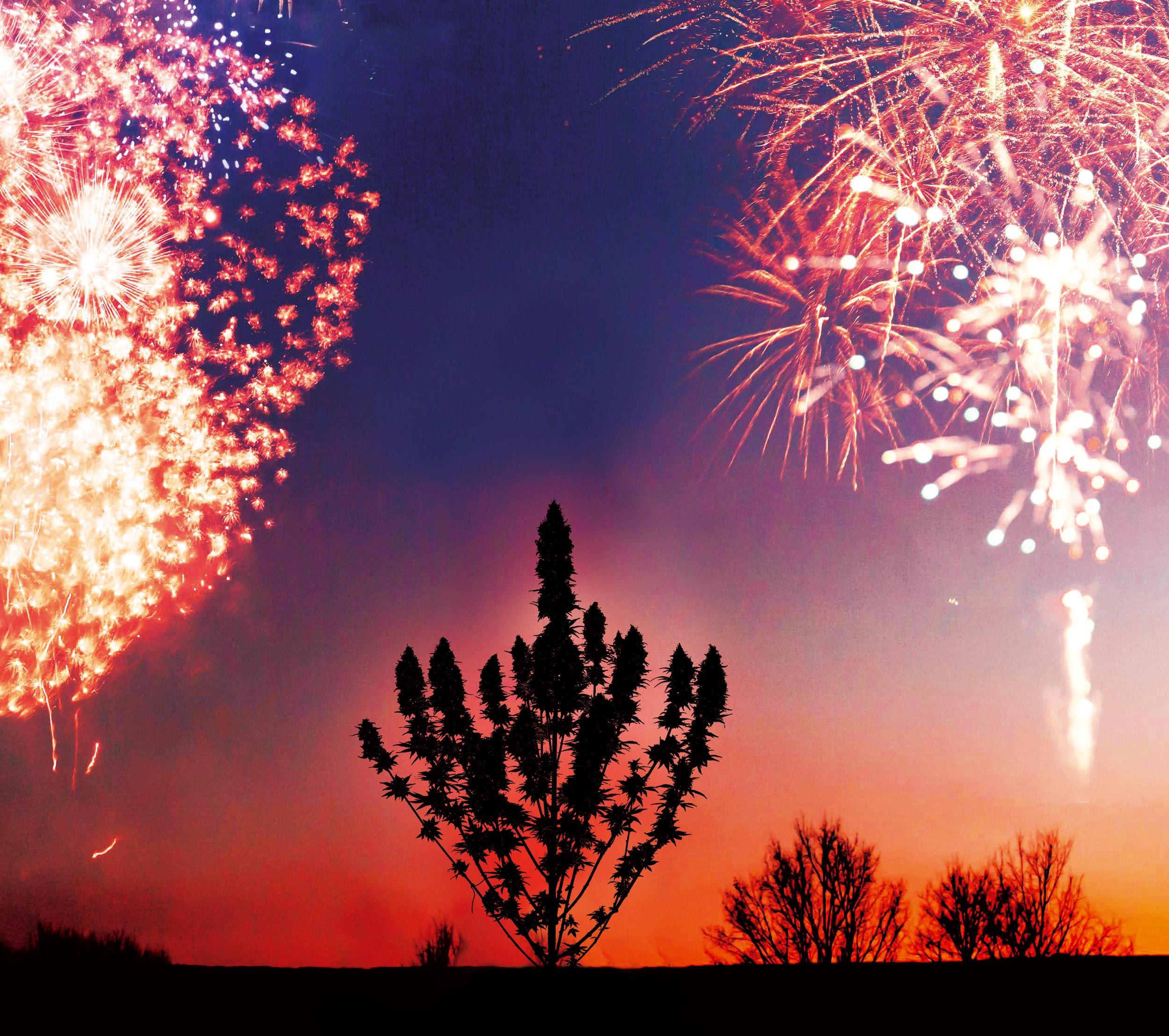 Editorial-2026-1 Editorial-2026-1