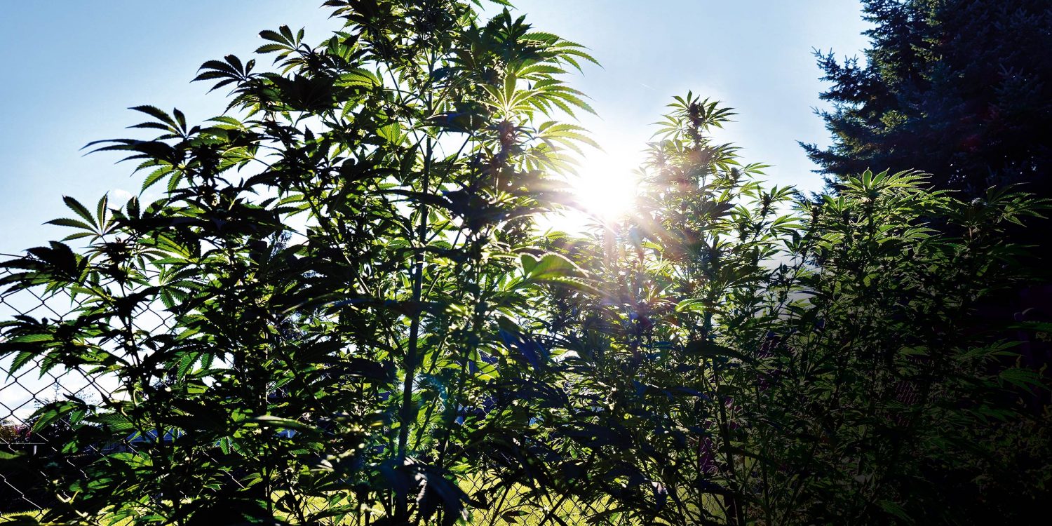 Outdoor-in-Brandenburg-2025-01