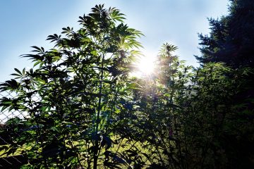 Outdoor-in-Brandenburg-2025-01