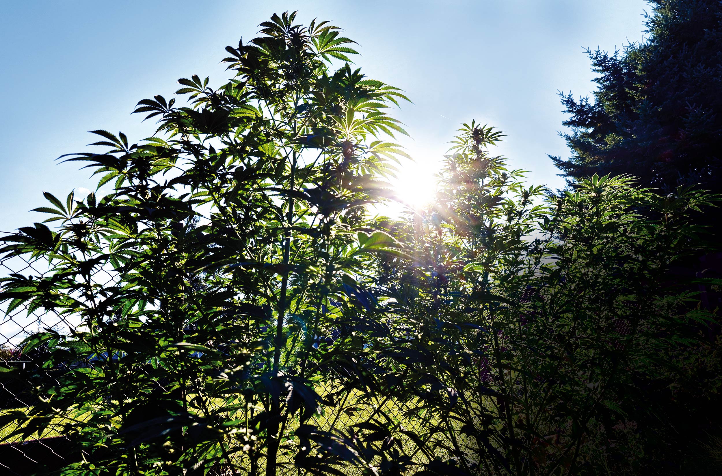 Outdoor-in-Brandenburg-2025-01