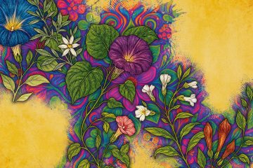 Psychoaktive-Naturstoffe-01