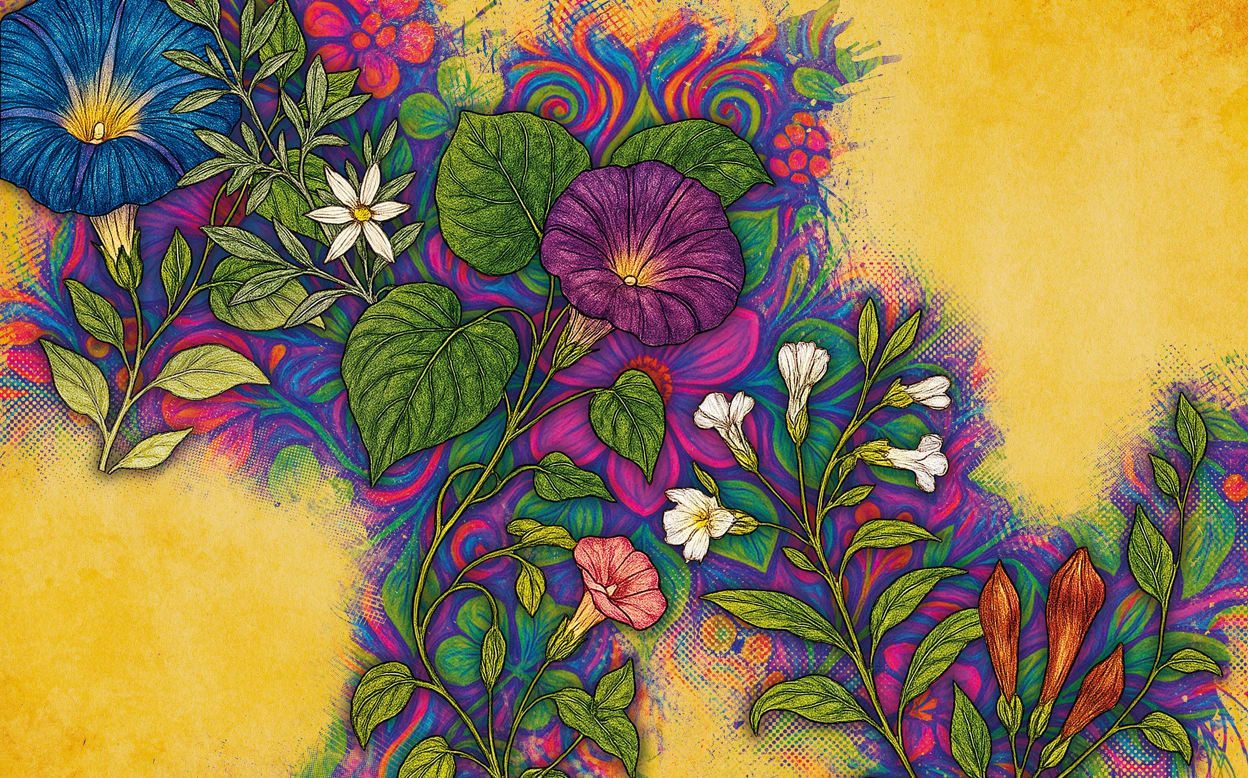 Psychoaktive-Naturstoffe-01 Psychoaktive-Naturstoffe-01