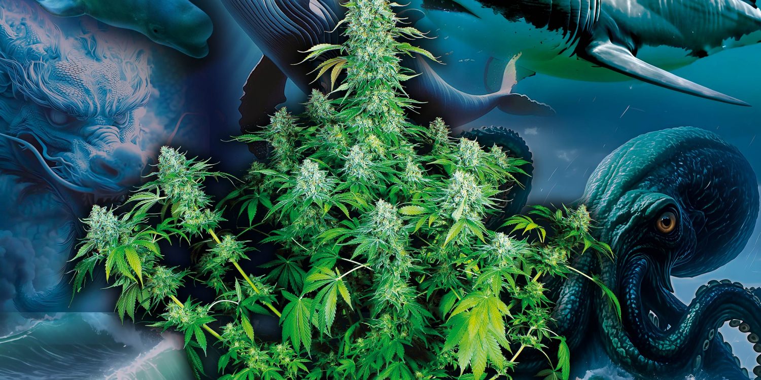 5-tierisch-gute-Sorten-01