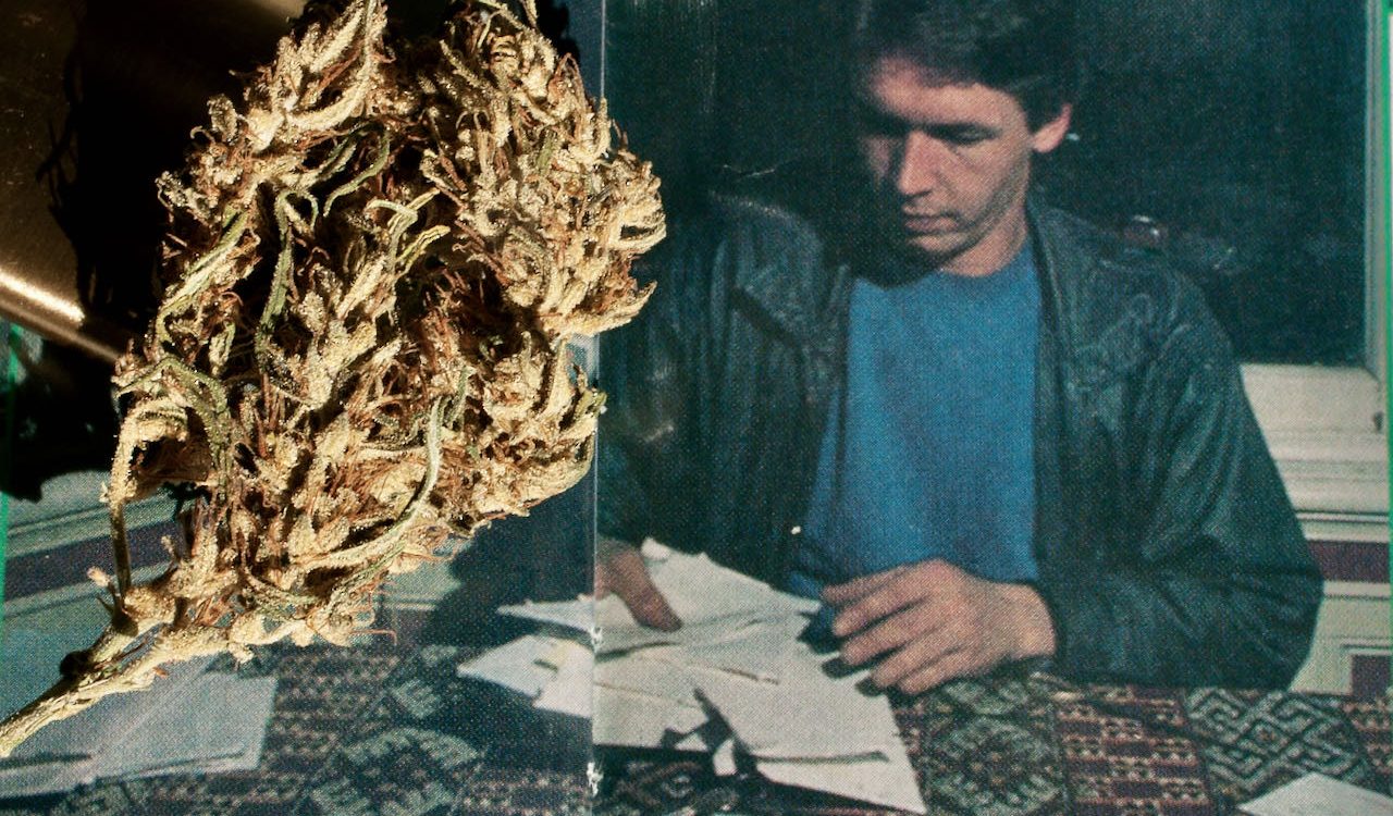 nevilles-haze-bud-mit-nevil-schoenmakers-im-cannabis-castle_copyright-by-gbi_green-born-identity-2026