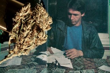 nevilles-haze-bud-mit-nevil-schoenmakers-im-cannabis-castle_copyright-by-gbi_green-born-identity-2026