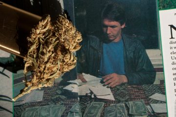 nevilles-haze-bud-mit-nevil-schoenmakers-im-cannabis-castle_copyright-by-gbi_green-born-identity-2026