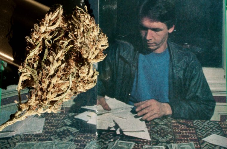 nevilles-haze-bud-mit-nevil-schoenmakers-im-cannabis-castle_copyright-by-gbi_green-born-identity-2026
