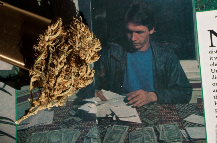 nevilles-haze-bud-mit-nevil-schoenmakers-im-cannabis-castle_copyright-by-gbi_green-born-identity-2026
