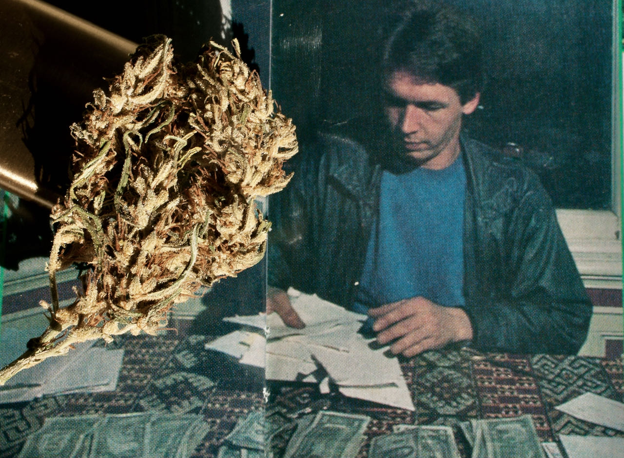 nevilles-haze-bud-mit-nevil-schoenmakers-im-cannabis-castle_copyright-by-gbi_green-born-identity-2026