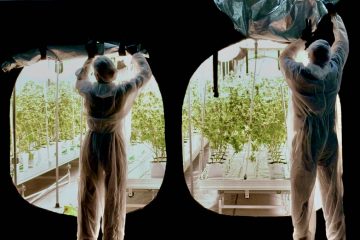 Green Mile