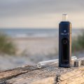 01_RELICT_Nordsee_Treibholz